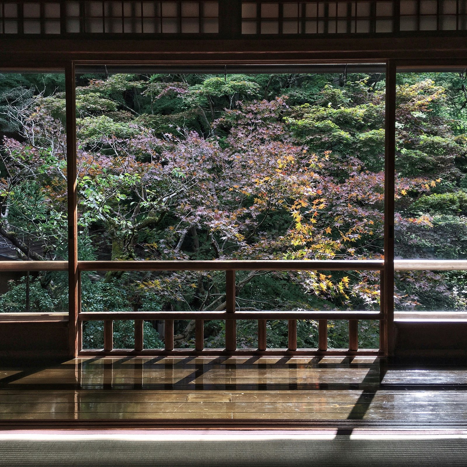 A quiet temple room looking out over autumn foliage